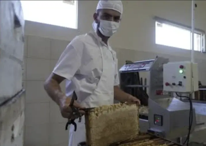 Sebastián González Tomas revisando un cuadro de colmena
